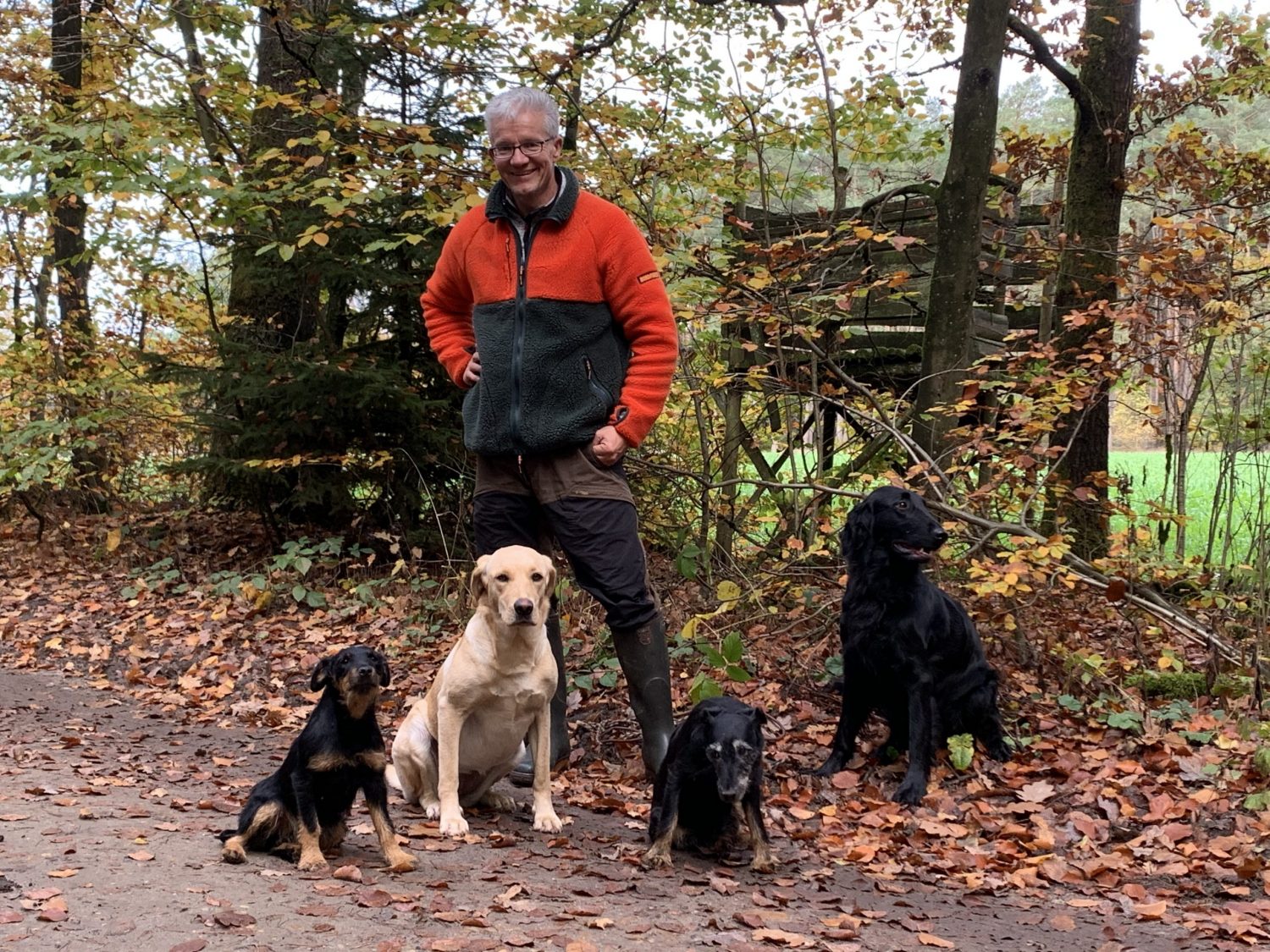 Hundeschule Ebstorf Stefan Bauers Hamburg, Uelzen und Umgebung.